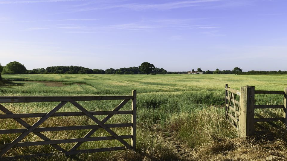 land and new homes land